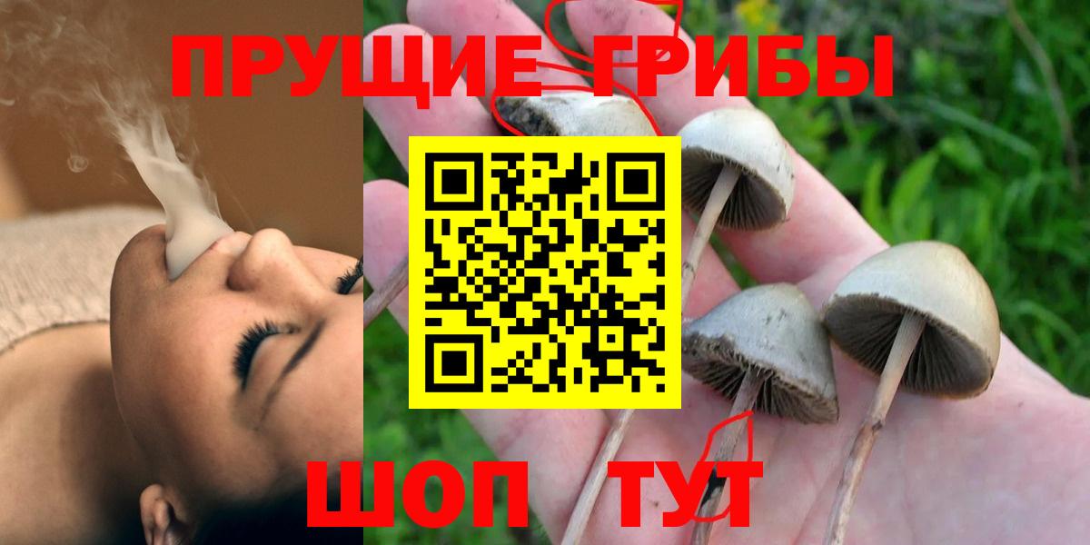 Галлюциногенные грибы MAGIC MUSHROOMS Саяногорск