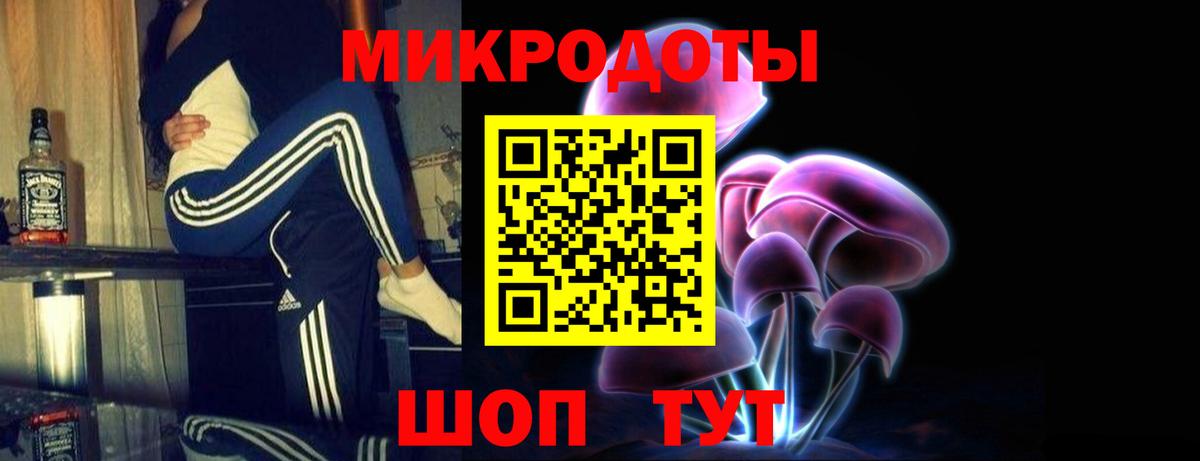 Саяногорск  Галлюциногенные грибы Psilocybe  Вход с VPN 